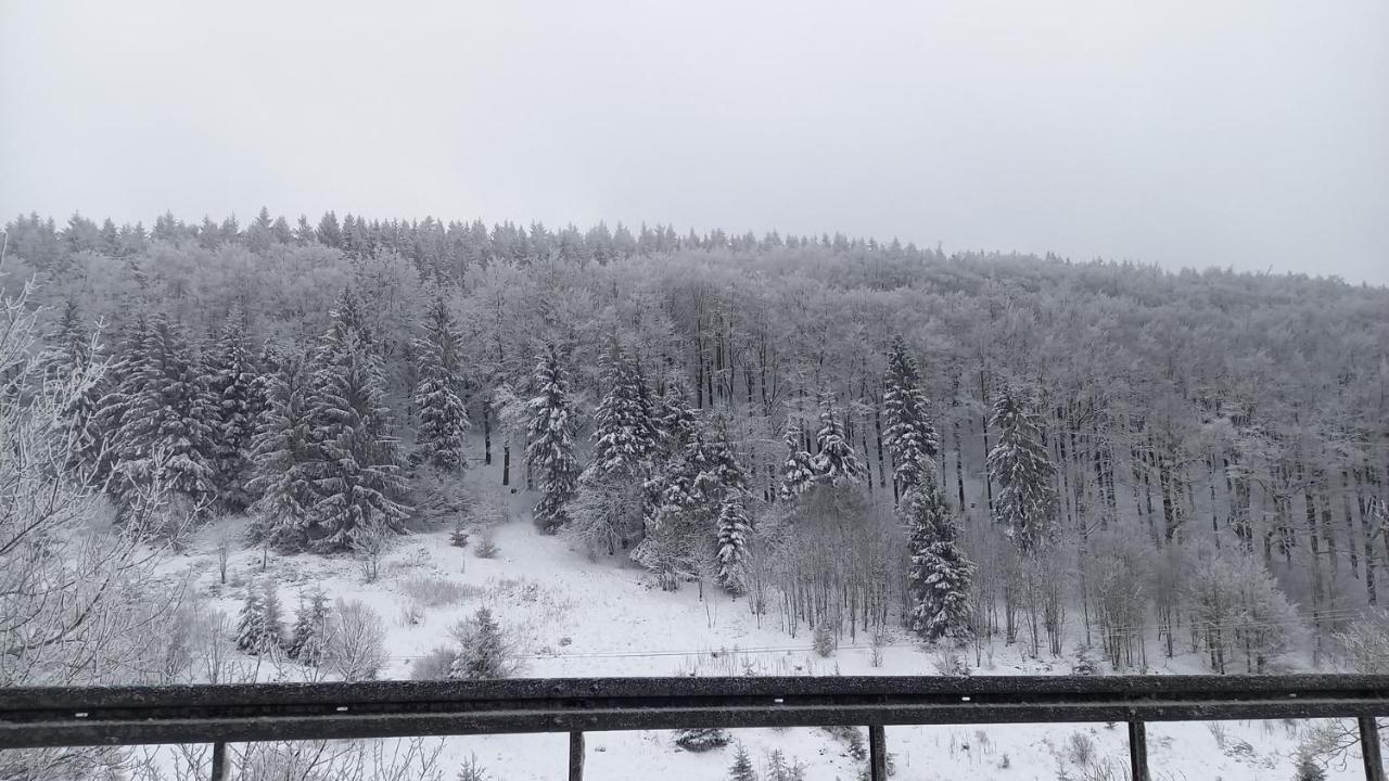 Fehrenbach Monteur- Und Ferienwohnung Waldrauschen מראה חיצוני תמונה