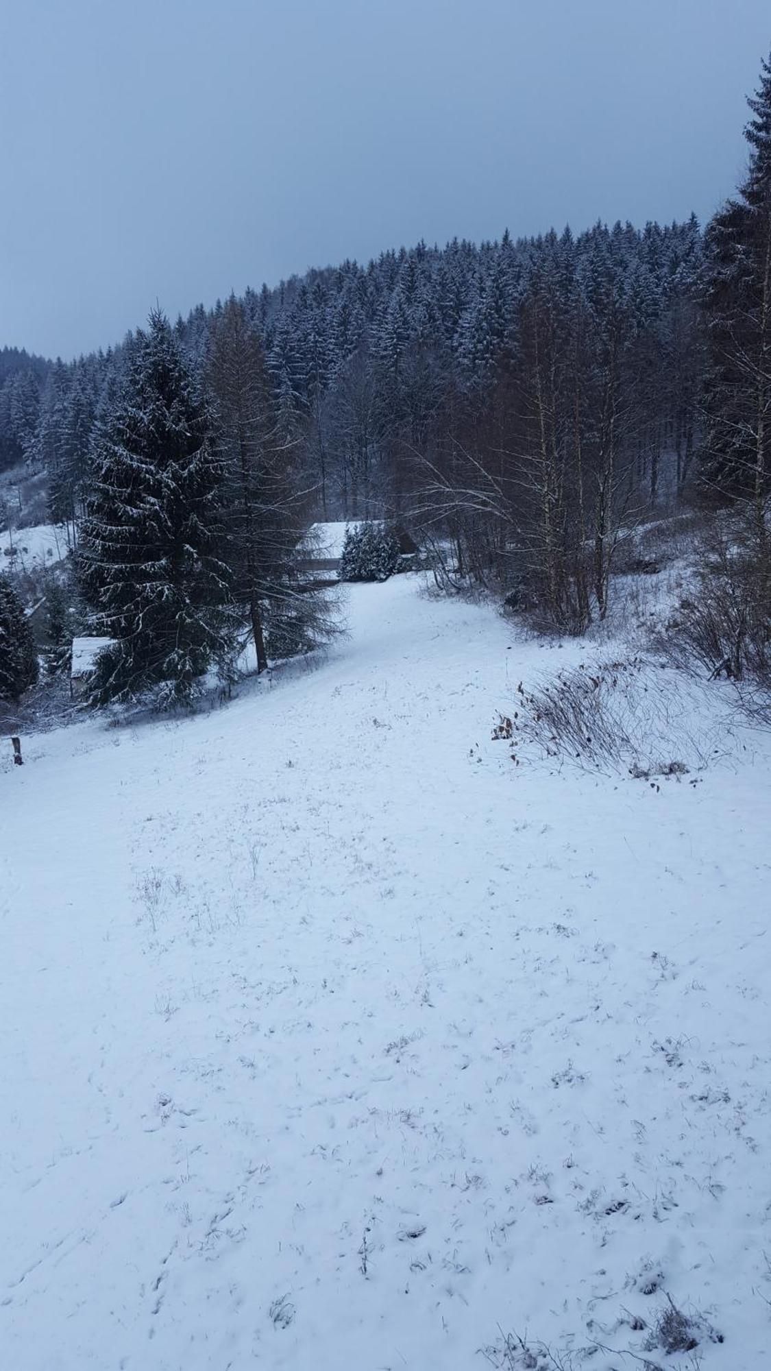 Fehrenbach Monteur- Und Ferienwohnung Waldrauschen חדר תמונה