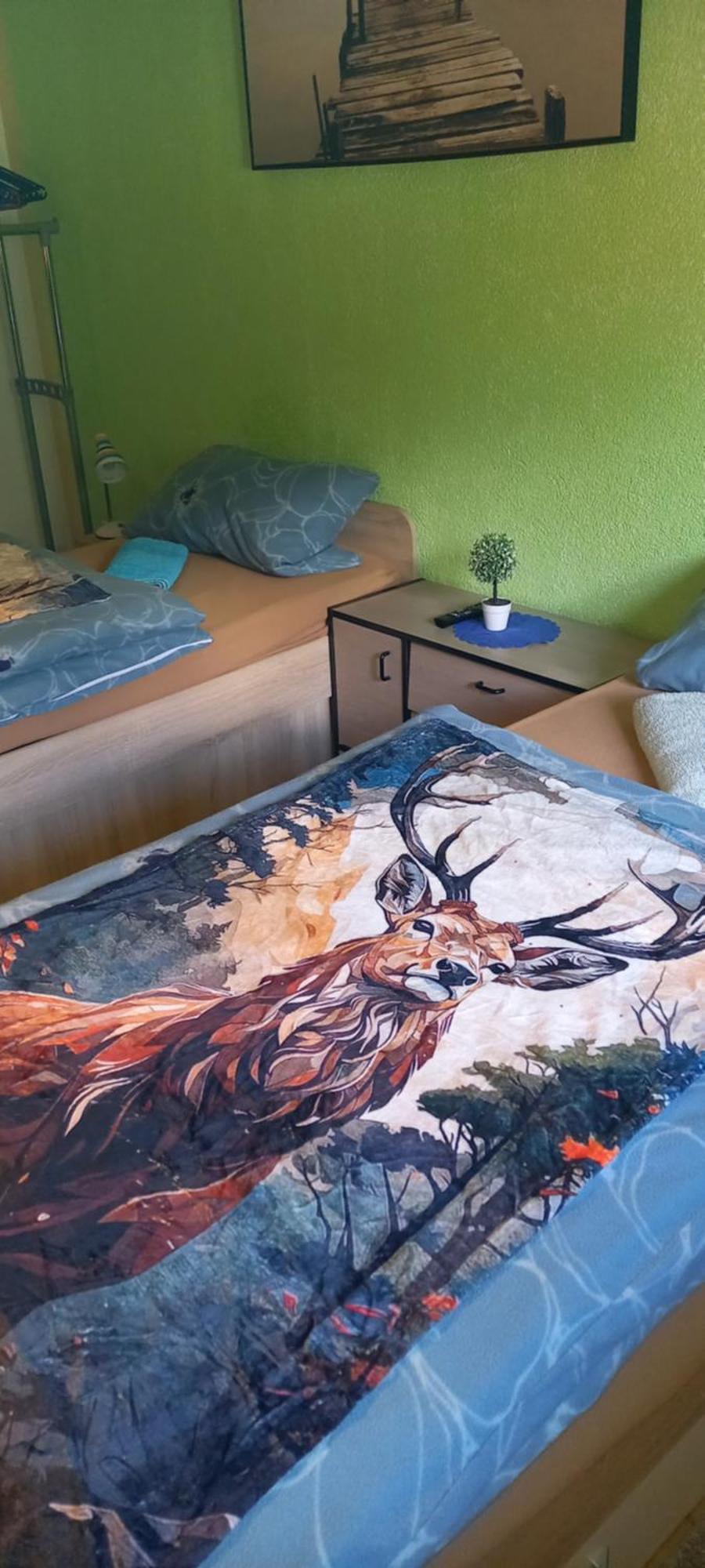 Fehrenbach Monteur- Und Ferienwohnung Waldrauschen מראה חיצוני תמונה