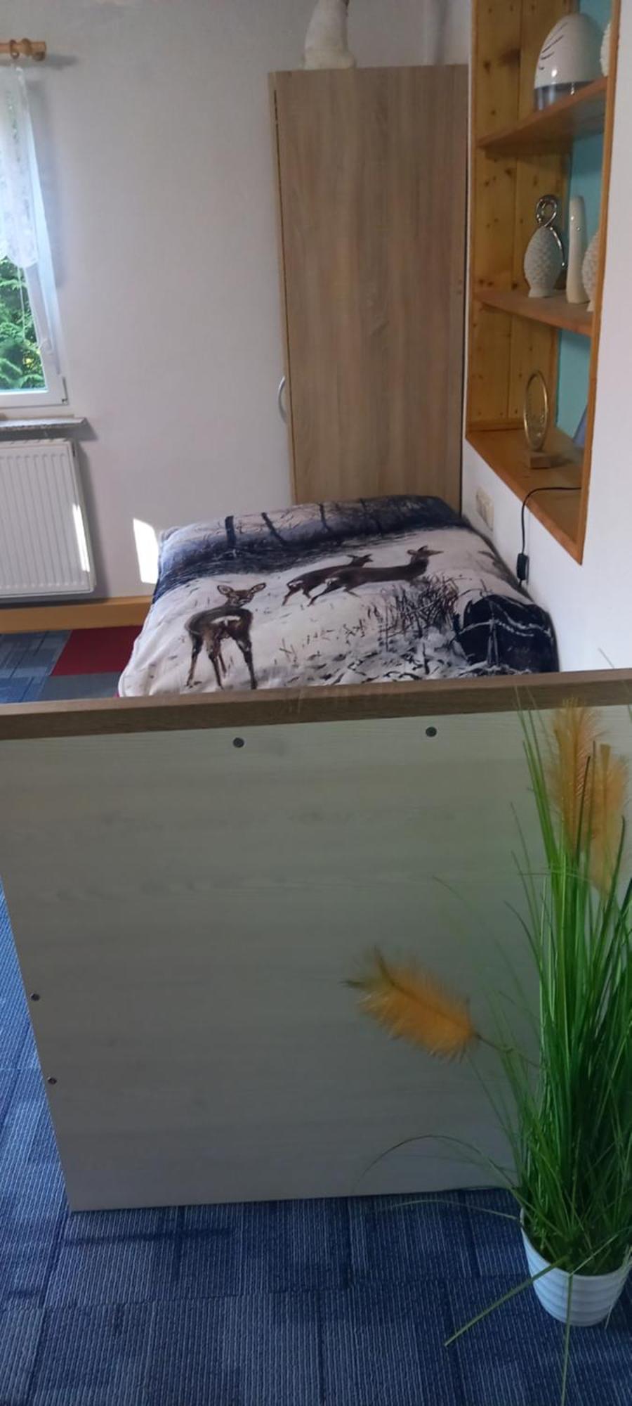 Fehrenbach Monteur- Und Ferienwohnung Waldrauschen מראה חיצוני תמונה
